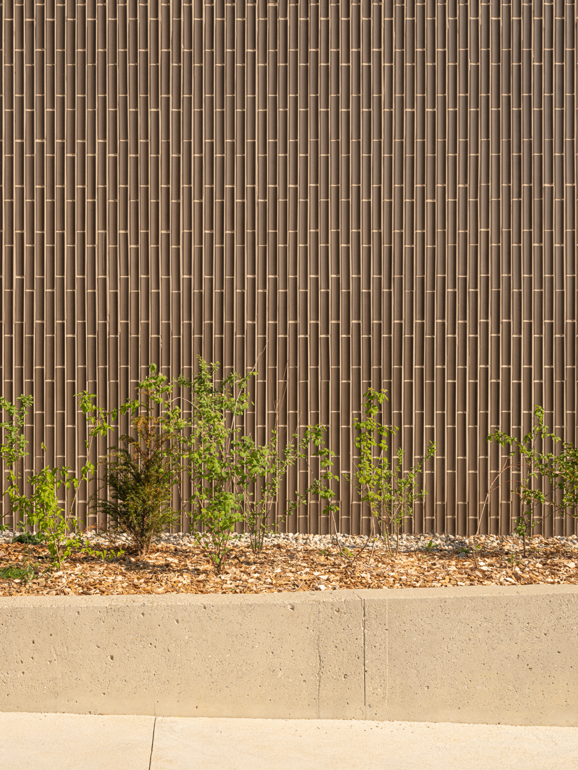 Détail de la façade et des plantations