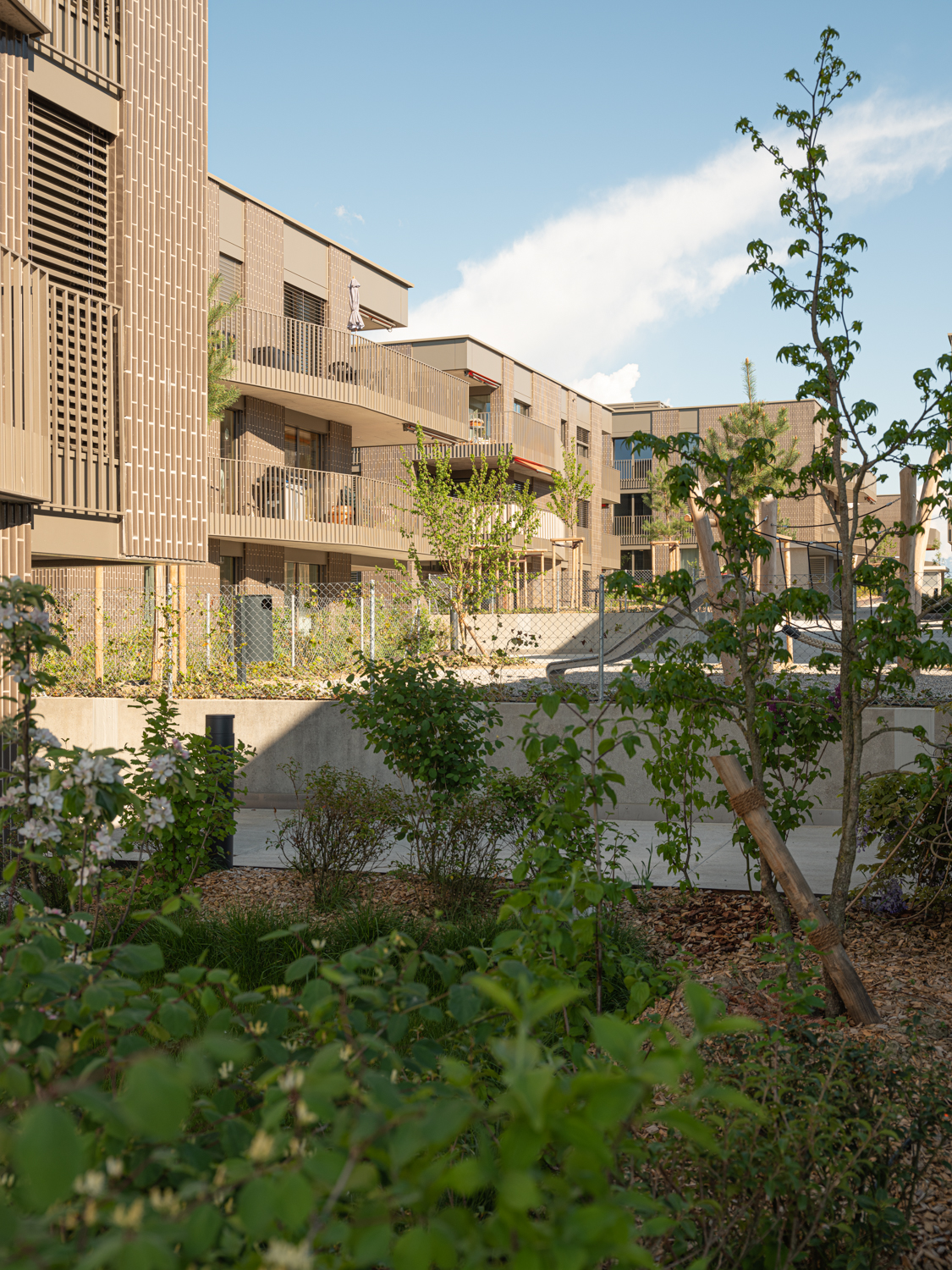 Vue de l'ensemble du quartier depuis l'intérieur, la végétation prend ses marques